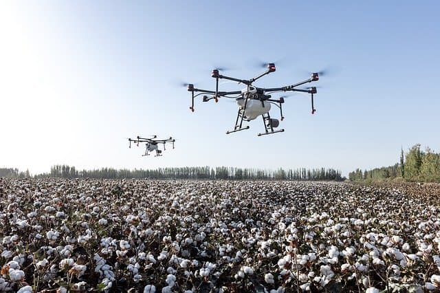 materias primas agricolas